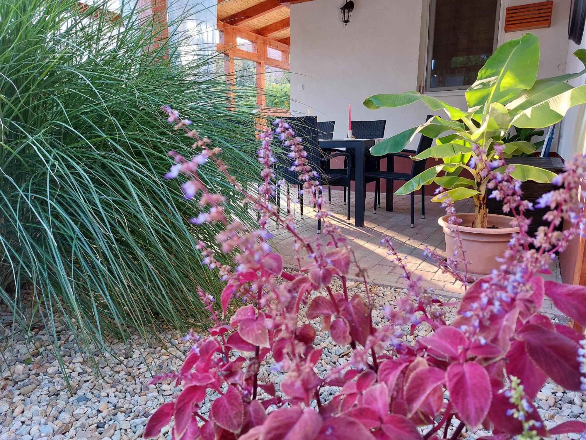 Tulipan Vendeghaz Apartment Sarospatak Ngoại thất bức ảnh